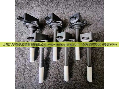 6524746,点火线圈总成  ignition coil,山东九华峰供应链管理有限公司