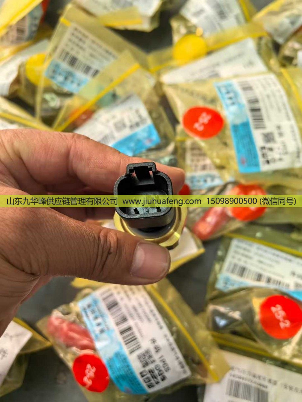 4384132,进气温度传感器  Intake Air Temperature Sensor,山东九华峰供应链管理有限公司
