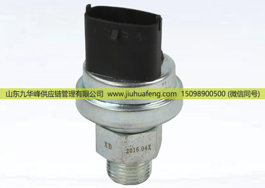 612600080875壓力傳感器適用于重汽豪沃/612600080875