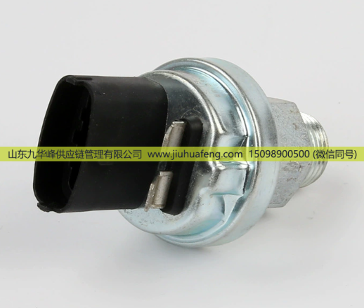 612600080875壓力傳感器適用于重汽豪沃/612600080875