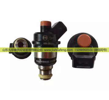 喷射阀喷嘴 1001101111/1001101111