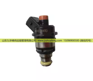 喷射阀喷嘴 1001101111/1001101111