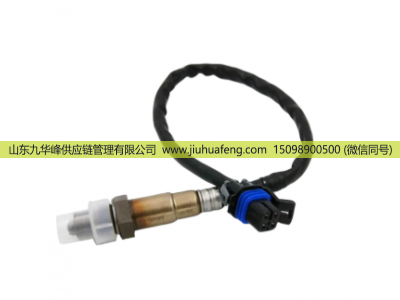 J3A00-38231L0,后氧传感器,山东九华峰供应链管理有限公司