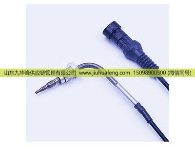 ,EGR 排气温度传感器,山东九华峰供应链管理有限公司