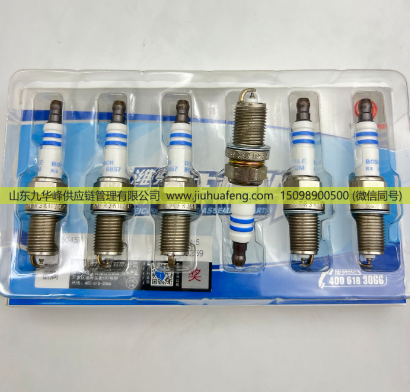 1000450457,火花塞,山东九华峰供应链管理有限公司