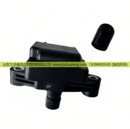 202V25919-6007,点火线圈总成,山东九华峰供应链管理有限公司