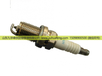 202V25923-0001 082V10102-0007,火花塞,山东九华峰供应链管理有限公司
