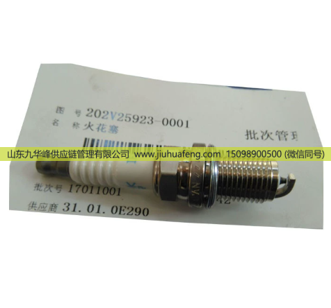 202V25923-0001 082V10102-0007,火花塞,山东九华峰供应链管理有限公司