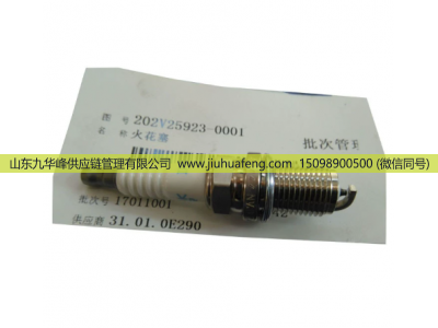 202V25923-0001 082V10102-0007,火花塞,山东九华峰供应链管理有限公司
