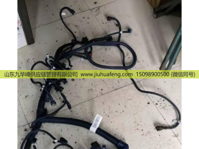 612600191746,发动机线束,山东九华峰供应链管理有限公司