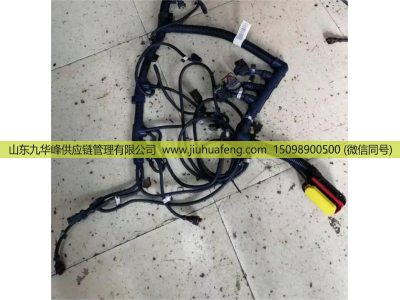 612600191746,发动机线束,山东九华峰供应链管理有限公司