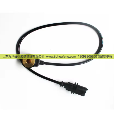 VG1238090005,爆震传感器,山东九华峰供应链管理有限公司