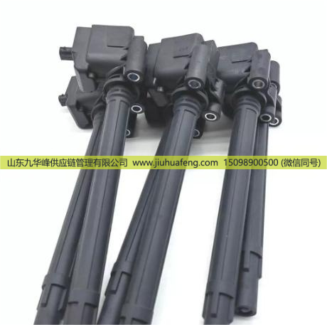 1000264408,点火线圈,山东九华峰供应链管理有限公司