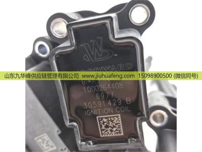 1000264408,点火线圈,山东九华峰供应链管理有限公司 1000264408,点火线圈,山东九华峰供应链管理有限公司