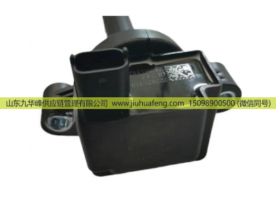 612600191988,点火线圈,山东九华峰供应链管理有限公司 612600191988,点火线圈,山东九华峰供应链管理有限公司