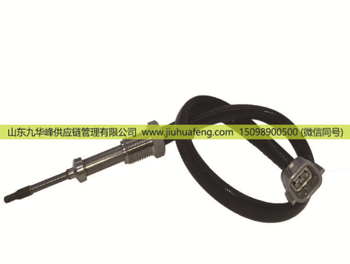 3113743302115,排气温度传感器,山东九华峰供应链管理有限公司