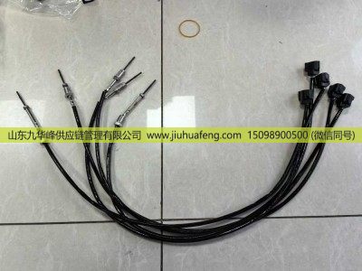 ,排气温度传感器,山东九华峰供应链管理有限公司 ,排气温度传感器,山东九华峰供应链管理有限公司