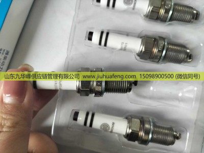 1003374173,火花塞,山东九华峰供应链管理有限公司