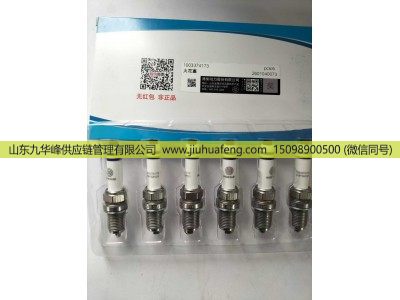 1003374173,火花塞,山东九华峰供应链管理有限公司