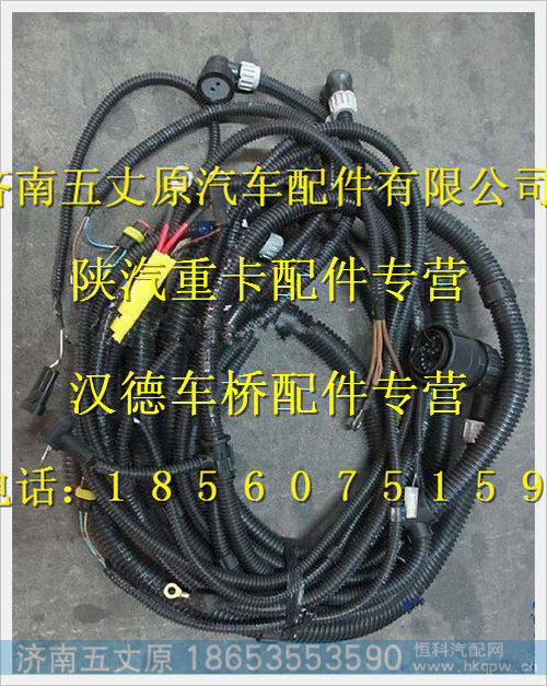 陕汽德龙底盘线束(二)