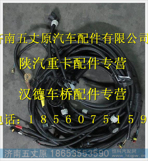 陕汽德龙发动机、变速器底盘电线束