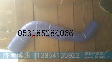DZ95259530613胶管