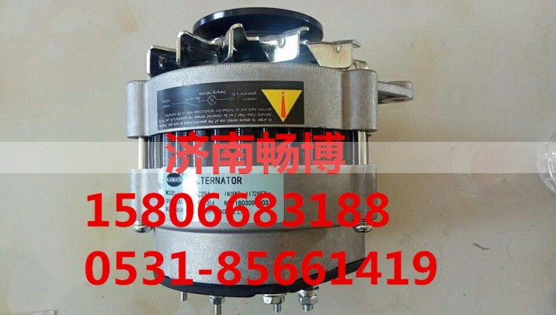 24SI 發(fā)電機8600153     8600502/8600153/8600502