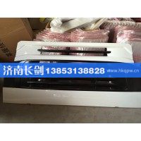 重汽豪沃08款前面罩WG1642110013