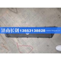 重汽豪沃T5G保险杠装饰网WG1664245002