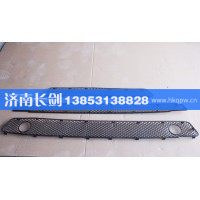 重汽豪沃A7保险杠装饰网WG164240009