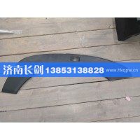 重汽豪沃A7左翼子板装饰板WG1664230011