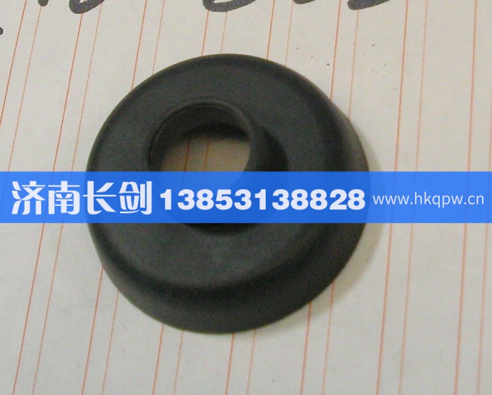 AZ1608330015装饰盖/AZ1608330015