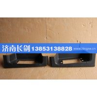 AZ1641240113-4左右下踏板（皮纹)08款