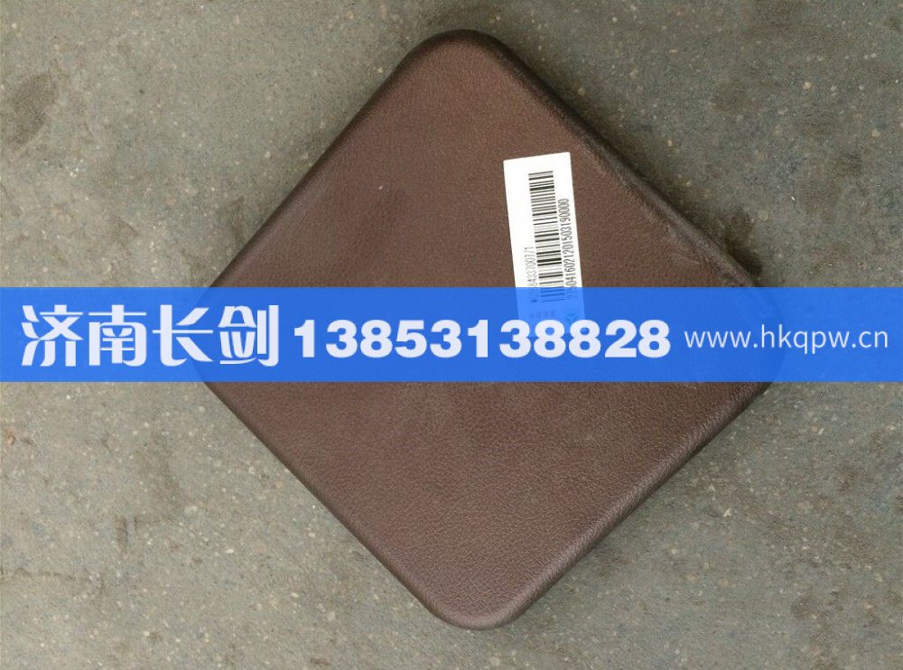 WG1684337007,D7B车门下盖板,济南长剑汽车贸易有限公司
