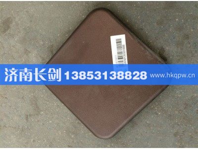 WG1684337007,D7B车门下盖板,济南长剑汽车贸易有限公司