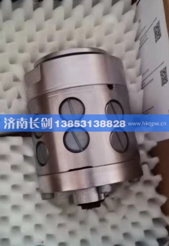 8607955107 8607 955 108 8607955109 8607955160,转向应急泵 付泵 分动箱VG2000 VG2700 ZQC2000,济南长剑汽车贸易有限公司