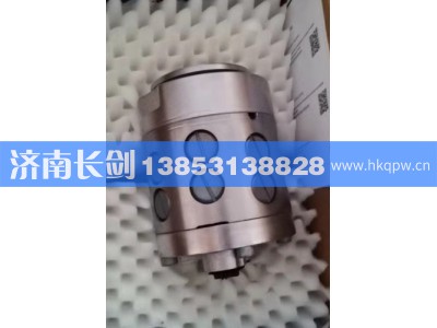 8607955107 8607 955 108 8607955109 8607955160,转向应急泵 付泵 分动箱VG2000 VG2700 ZQC2000,济南长剑汽车贸易有限公司