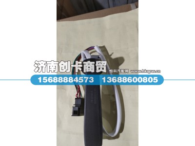 WG9725584009,巡航组合开关,济南创卡商贸有限公司