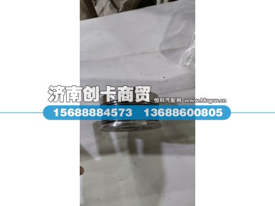 612600060310,张紧轮总成,济南创卡商贸有限公司
