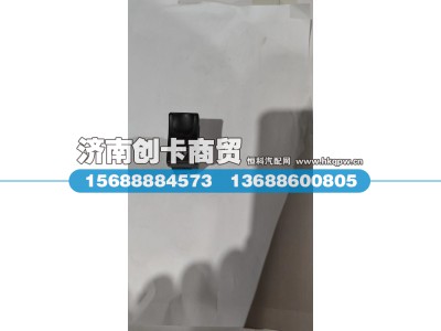 DZ96189584603,后雾灯开关,济南创卡商贸有限公司