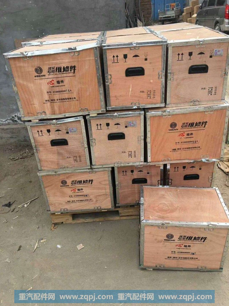 13024988潍柴道依茨  燃油管总成