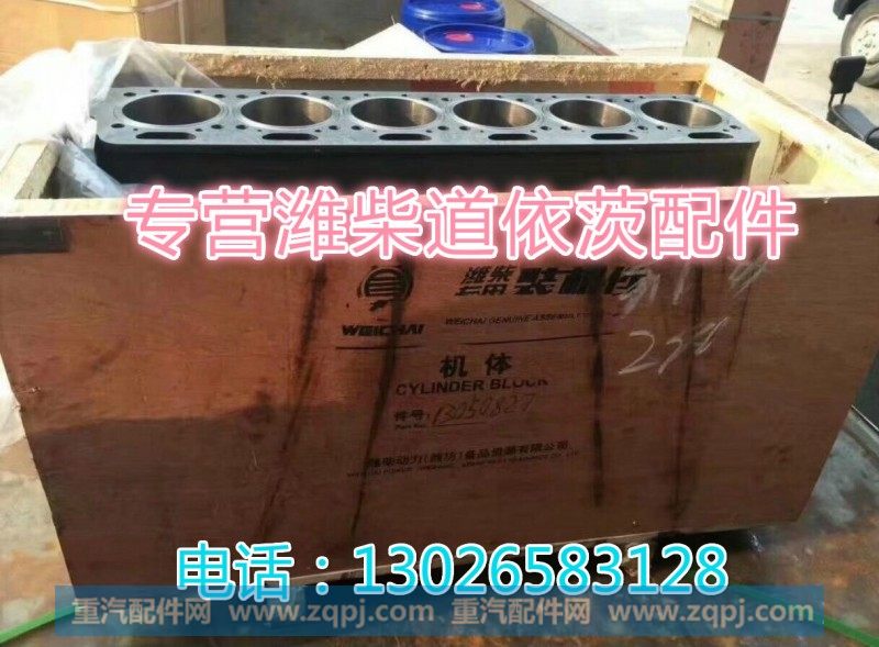 13020245+001潍柴道依茨  机体分总成