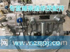 612600081828,燃油管总成,济南唱响汽配