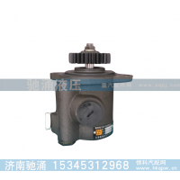 ,雷诺系列泵 转向助力泵、转向助力叶片泵,济南驰涌贸易有限公司