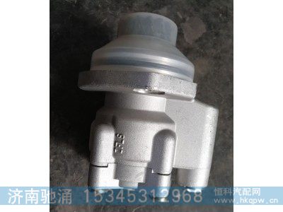 WG9731471025,助力泵,济南驰涌贸易有限公司