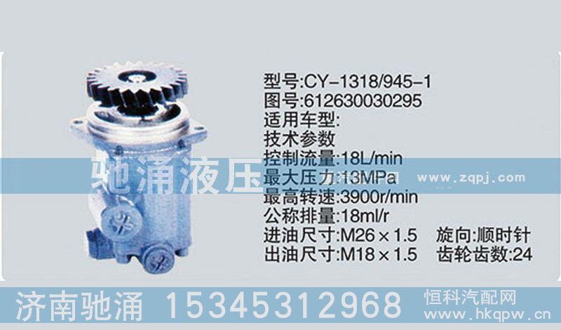 612630030295,齒輪泵系列轉(zhuǎn)向泵,濟(jì)南馳涌貿(mào)易有限公司