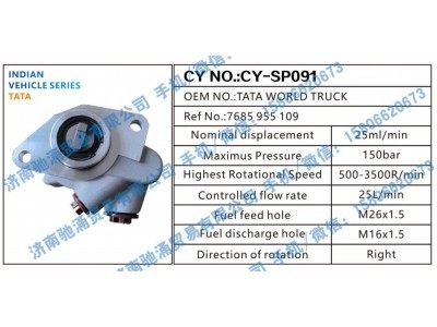 7685955109,塔塔TATA转向助力泵TATA WORLD TRUCK转向泵 转向助力叶片泵,济南驰涌贸易有限公司