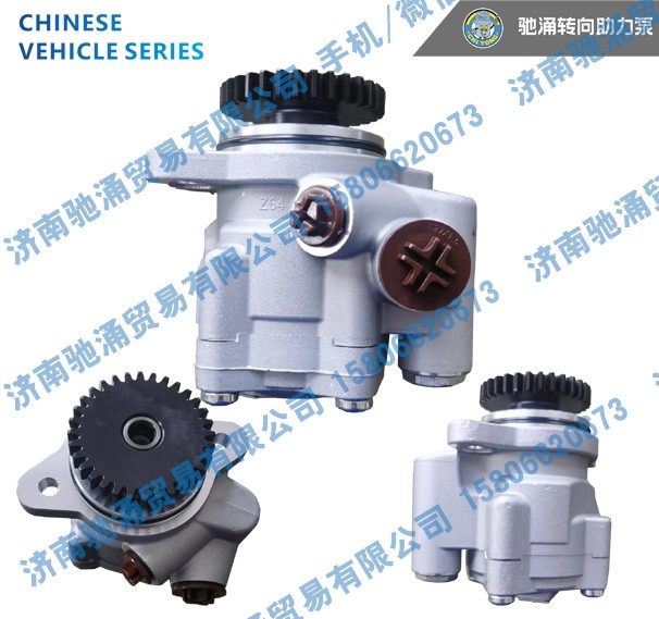 X10006830,X10006830转向泵 转向油泵 转向助力叶片泵,济南驰涌贸易有限公司