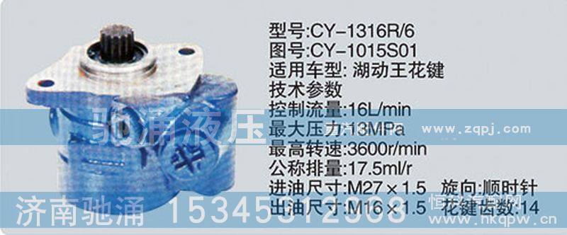 CY-1015S01,其他系列转向泵,济南驰涌贸易有限公司