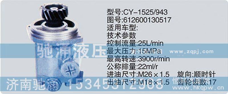 612600130517,齿轮泵系列转向泵,济南驰涌贸易有限公司